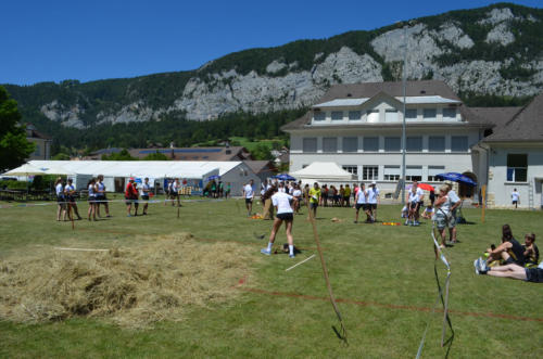 DSC 0071